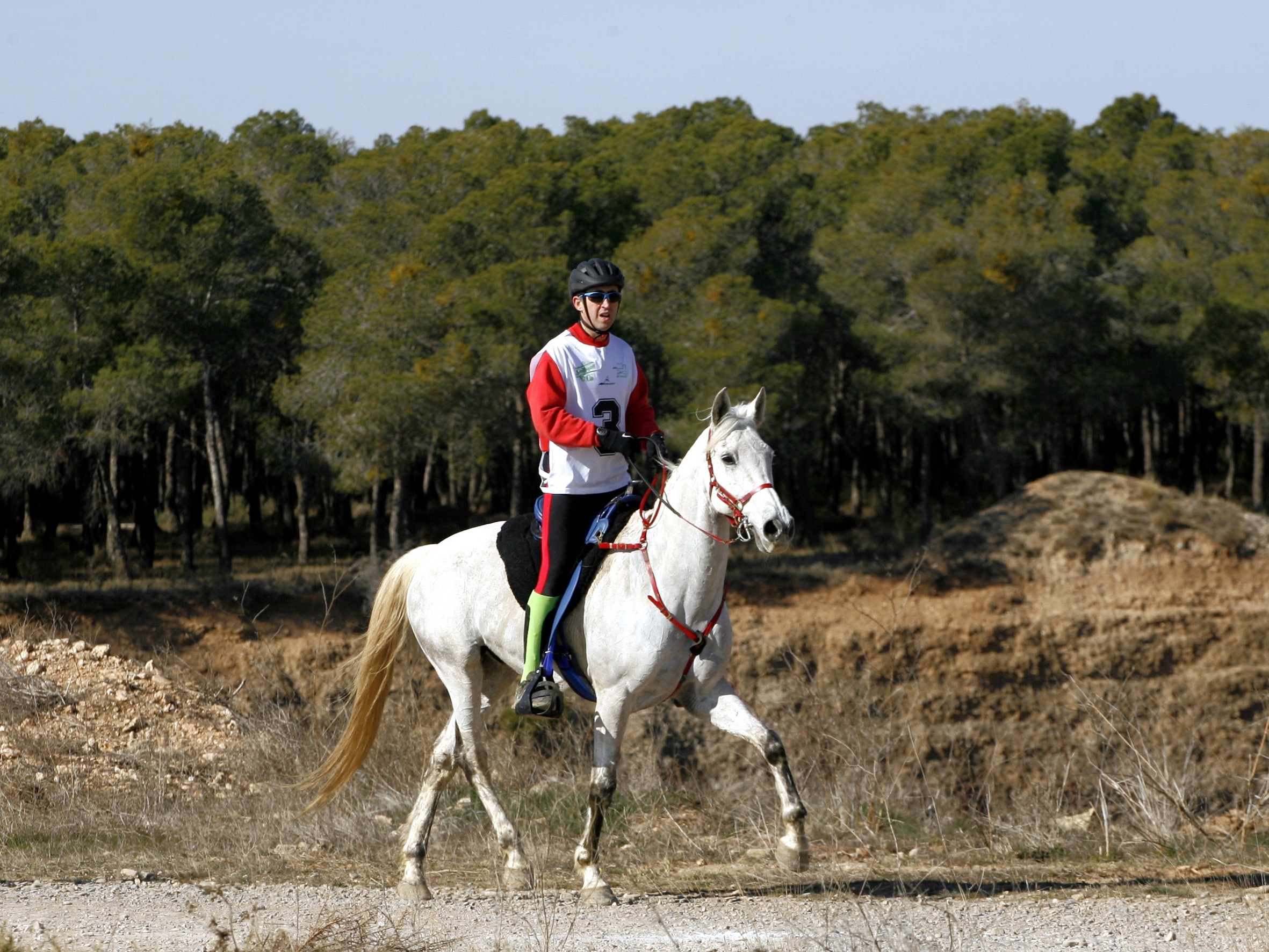 El Jinete Navarro Paco Ayestaran Ganó El XXVI Raid Internacional CEI* Celebrado En Figarol